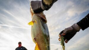 Chicken Ranch Casino Resort servirá como parceiro de hospedagem para evento de pesca de robalo