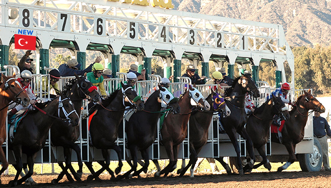 1/ST Content expande o acesso às corridas turcas para apostadores norte-americanos por meio da parceria com a TJK