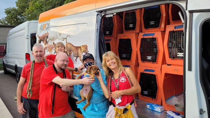 DoubleDown dona 10.000 dólares a ASPCA