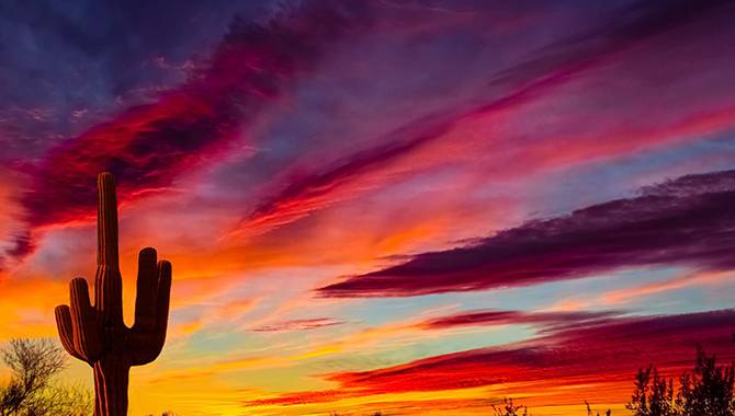 OpenBet se asocia con Casino Arizona para lanzar apuestas deportivas minoristas