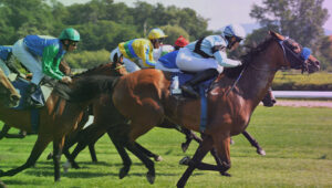 Canterbury Park Holding Corporation informa de un aumento del 56,2% en sus ingresos netos del primer trimestre