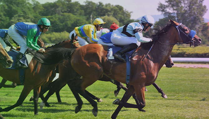 Canterbury Park Holding Corporation informa de un aumento del 56,2% en sus ingresos netos del primer trimestre