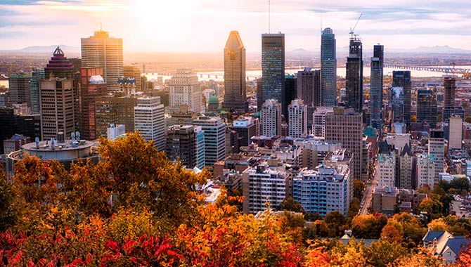 Bet99 lanza un juego gratuito de la NHL