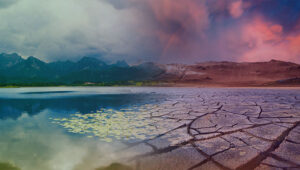 ClimateCandy ofrece una «dulce» oportunidad de cambio