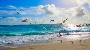 Proyecto de ley de Florida para usar fondos compactos para proyectos ambientales llega al escritorio del gobernador