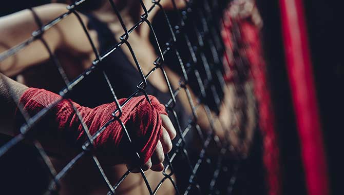 GameOn se asocia con PFL para lanzar títulos de fantasía de próxima generación con temática de luchadores