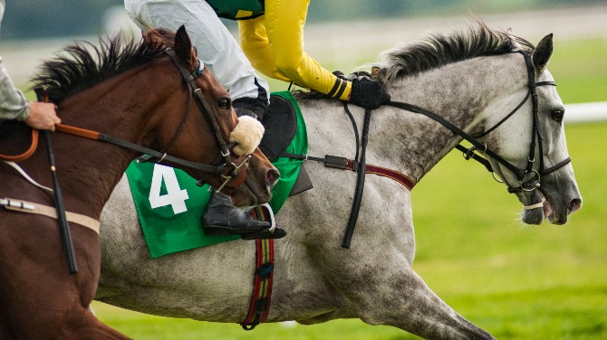 El operador bet365 se asocia con 1/st Bet para el producto estadounidense de carreras de caballos