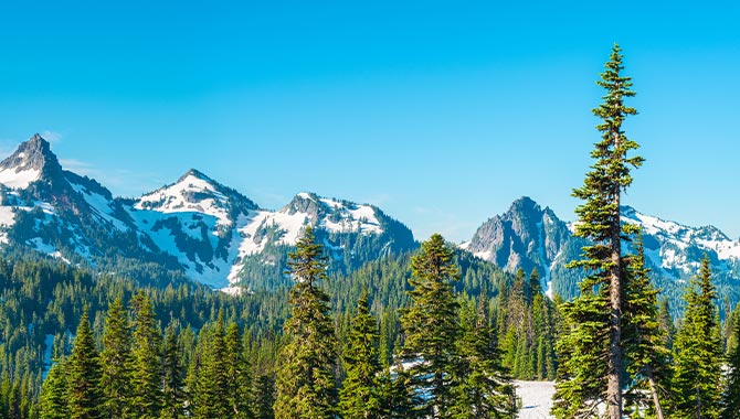 Ilani Casino abre una nueva casa de apuestas deportivas en el estado de Washington