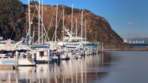 Kindred Group se asocia con Swinomish Tribe para continuar su expansión en Estados Unidos