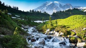 Passport Technology se asocia con Point Casino & Hotel para ampliar la plataforma de fidelización