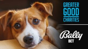 Greater Good Charities y Bally Bet colaboran para ayudar a los animales protegidos