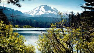 Shoshoni Tribe se asocia con Mullen Automotive para el programa de vehículos eléctricos de Harrah’s Northern California Casino