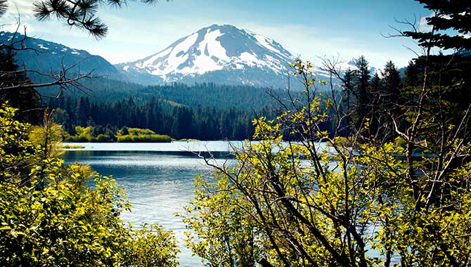 Shoshoni Tribe se asocia con Mullen Automotive para el programa de vehículos eléctricos de Harrah’s Northern California Casino