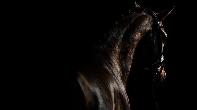 El entrenador de caballos de Ontario Anthony Beaton recibe una suspensión de licencia de dos años por parte de AGCO