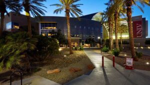 El Instituto Internacional de Juegos de Las Vegas publica un estudio sobre el comportamiento de pago