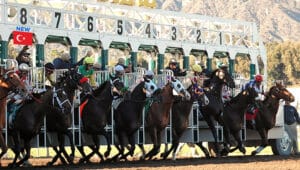 1/ST Content amplía el acceso a las carreras turcas para los apostantes norteamericanos a través de la asociación con TJK