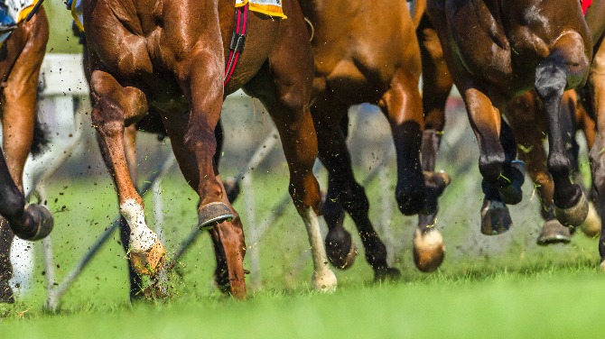 horseracing-calendar-26