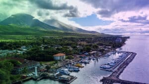 Palms partners with Old Lāhainā Lū’au to raise funds for Maui wildfire relief