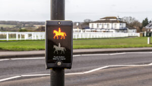 Churchill Downs suspends racing activity