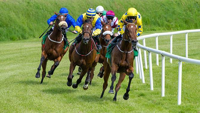 Operator bet365 partners with 1/st Bet for US horseracing product