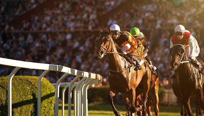 BoyleSports and XB Net renew North American content partnership