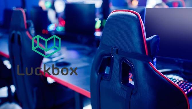 Real Luck Group reports Q2 financial results