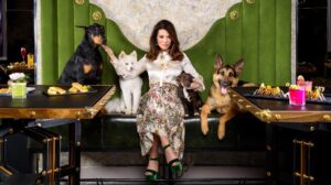 The Cromwell Las Vegas transitioning to Vanderpump Hotel in 2026