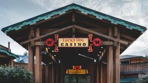 Jackpot Blitz machine installation completed at Lucky Dog Casino