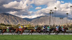 Breeders’ Cup contender horse dies just after NCLGS announces horseracing review