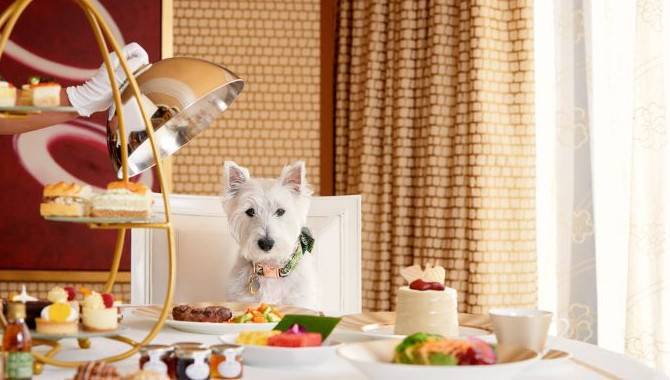 Encore at Wynn Las Vegas introduces new dog-friendly program