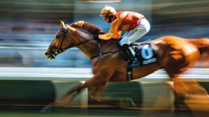 Accel Entertainment announces successful closure of Fairmount Holdings acquisition