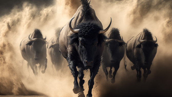 The iconic slot game Buffalo is moving online