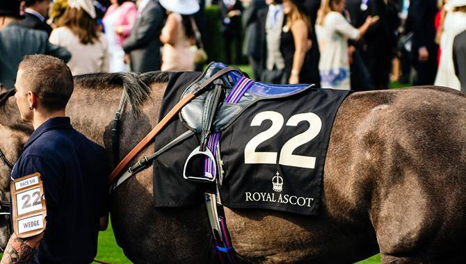 Virtual Live Racing further expands