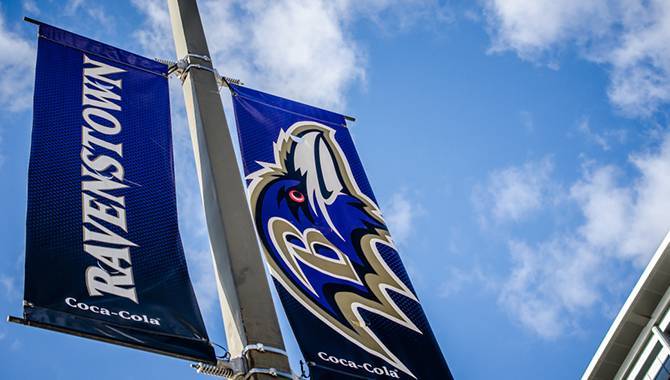 Esports Entertainment Group to partner with Baltimore Ravens