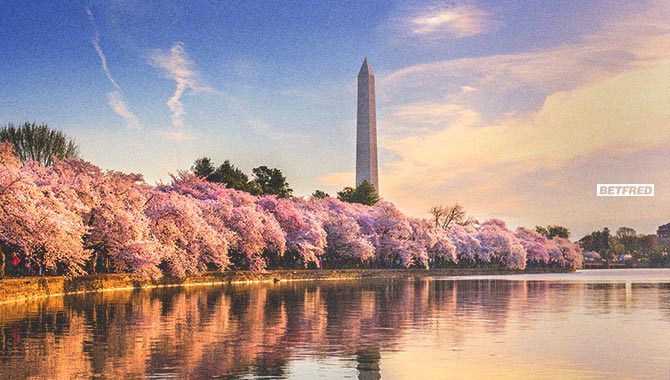 betfred-northern-washington-silver-reef-casino-gaming-america-web-image