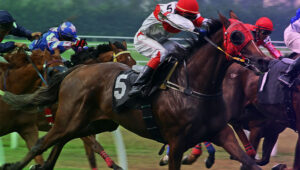 Canterbury Park board approves quarterly cash dividend of $0.07 per share