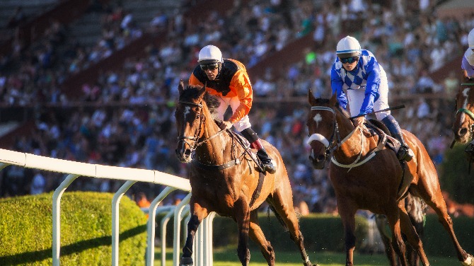 Canterbury Park reports $19.3m in net revenue for Q3 2024