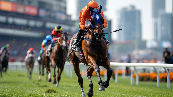 Canterbury Park reports $1.2m net loss for Q4 2024