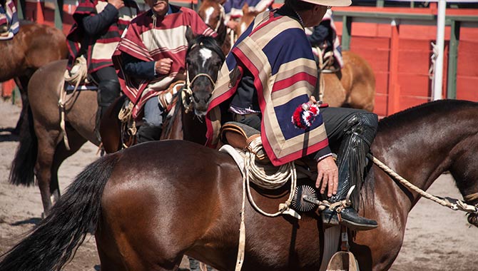 Sky Racing World expands platform to include Hipodromo Chile racing