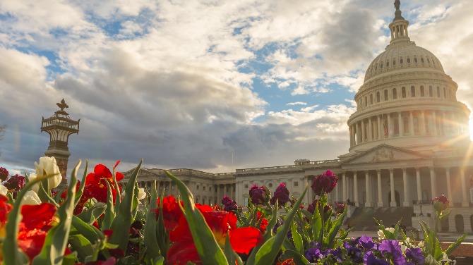 DC August sports betting handle climbs to $40.6m