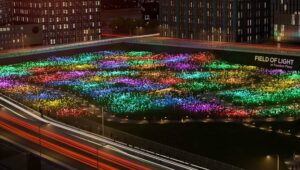 Soloviev Group installs 17,000 lights in New York as part of casino license bid