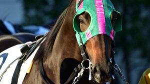 Two Minnesota racetracks advocate for authorized historical horseracing