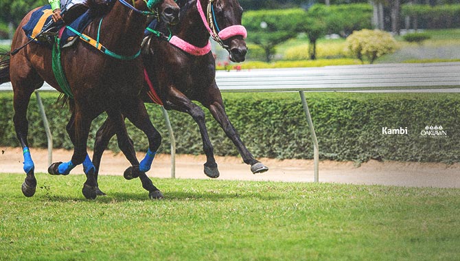 Kambi Group plc enters sports betting agreement with Oaklawn Racing Casino Resort