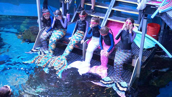 It’s back! Silverton Casino Hotel to host Mermaid School this summer