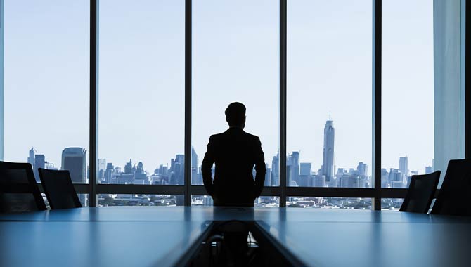 lion-gaming-expansion