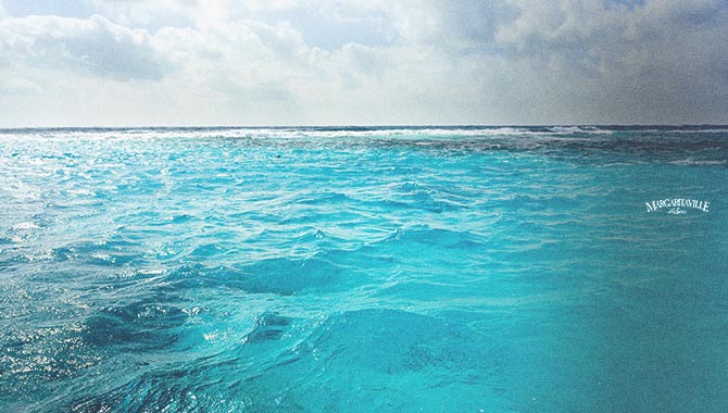 Margaritaville at Sea and Casino Margarita reveal new program