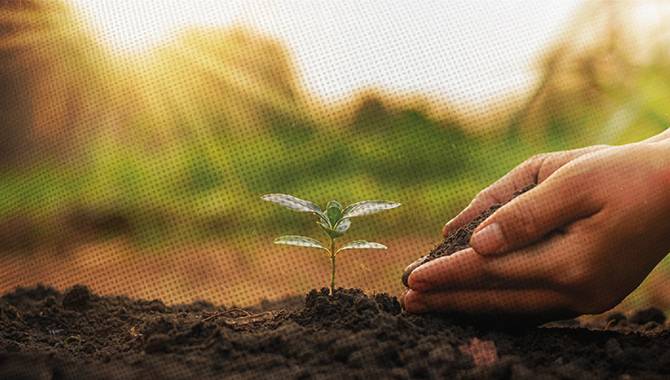 Seeking sustainability