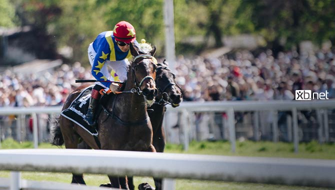 XB Net adds harness racing to its portfolio of betting content