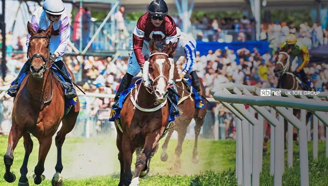 UK Tote Group renews distribution deal with XB Net ahead of Breeder’s Cup