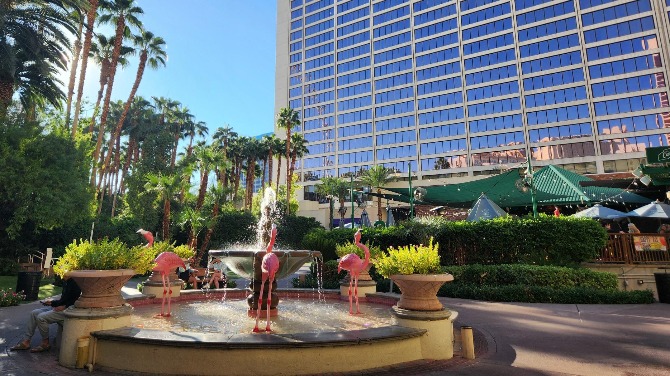 Exclusive review: Flamingo continues to wow visitors with its old-school charm